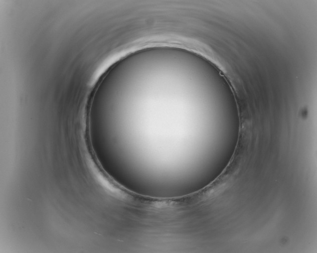 X0000090451523200707272205