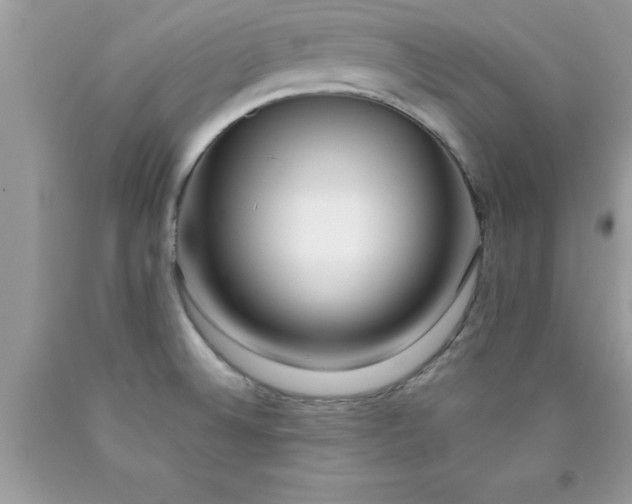 X0000090451524200707272205