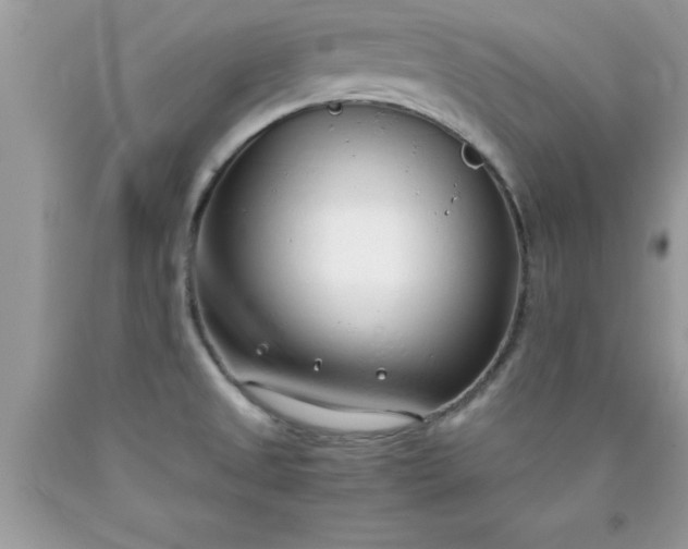 X0000090451525200707272205