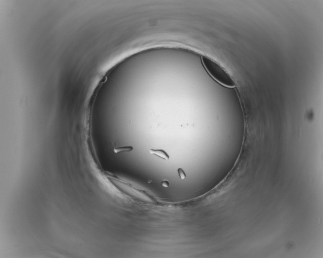 X0000090451526200707272205