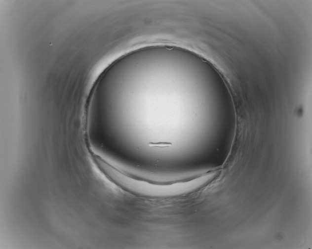 X0000090451527200707272205