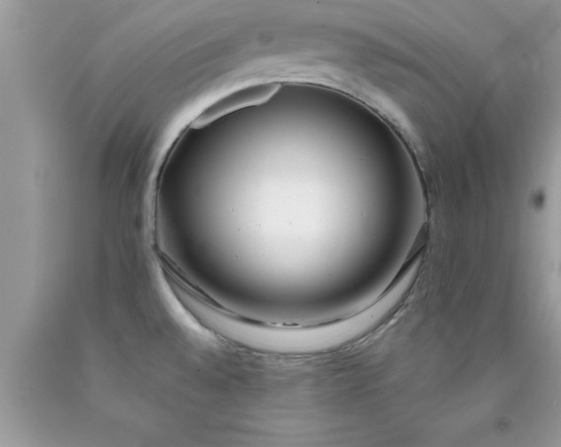 X0000090451528200707272205