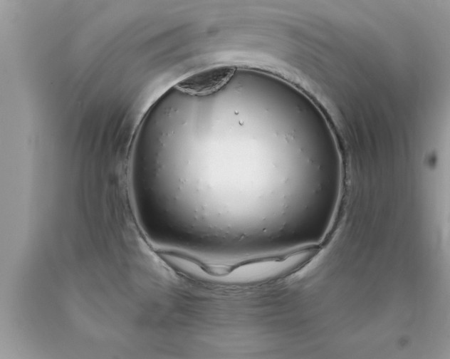 X0000090451529200707272205