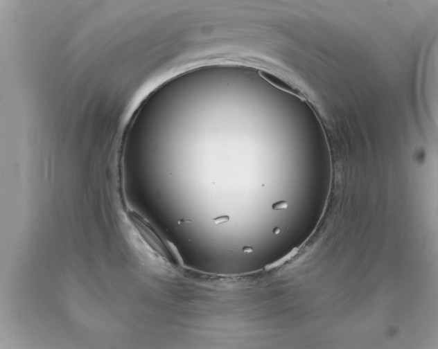 X0000090451530200707272205