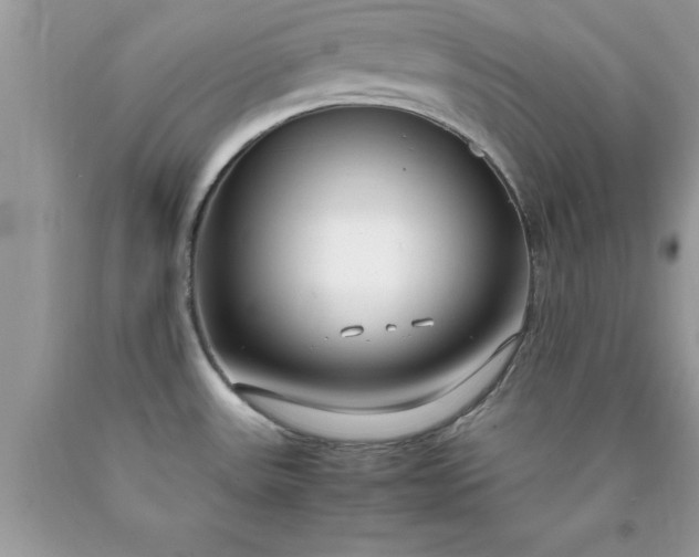 X0000090451531200707272205