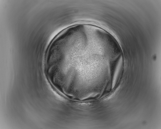 X0000090451533200707272205