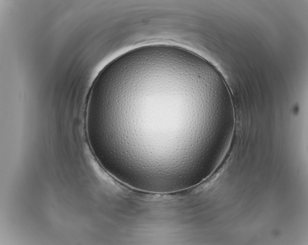 X0000090451534200707272205