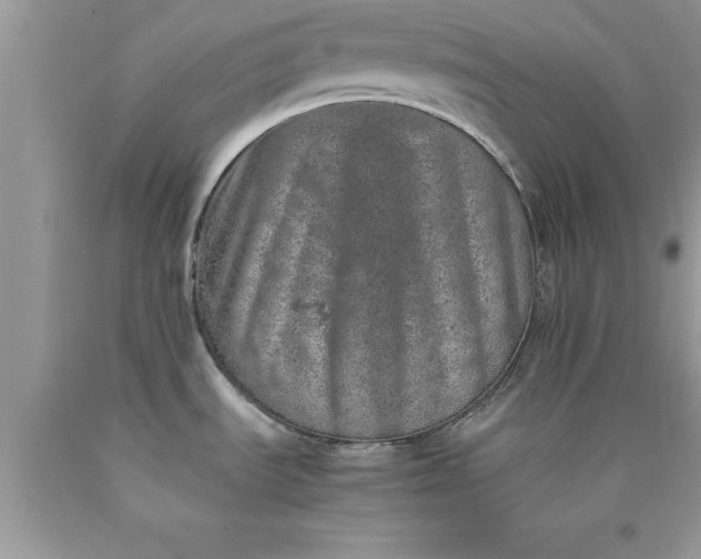 X0000090451535200707272205