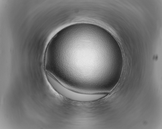 X0000090451536200707272205