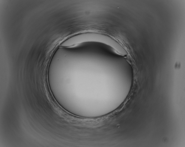 X0000090450001200708031228