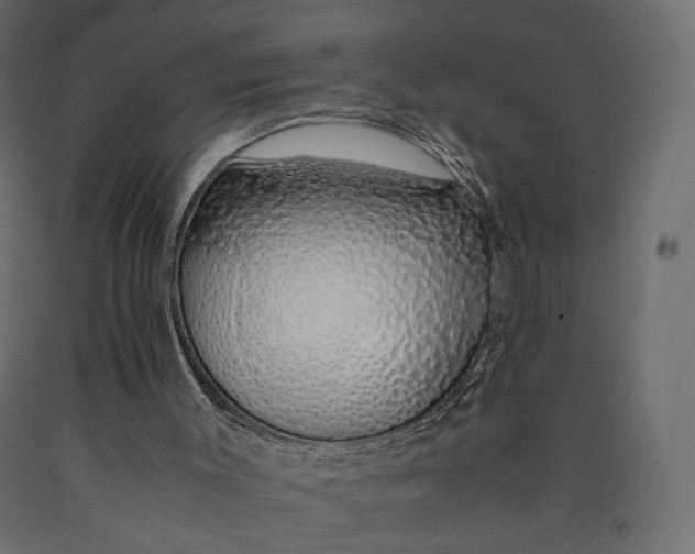 X0000090450003200708031228