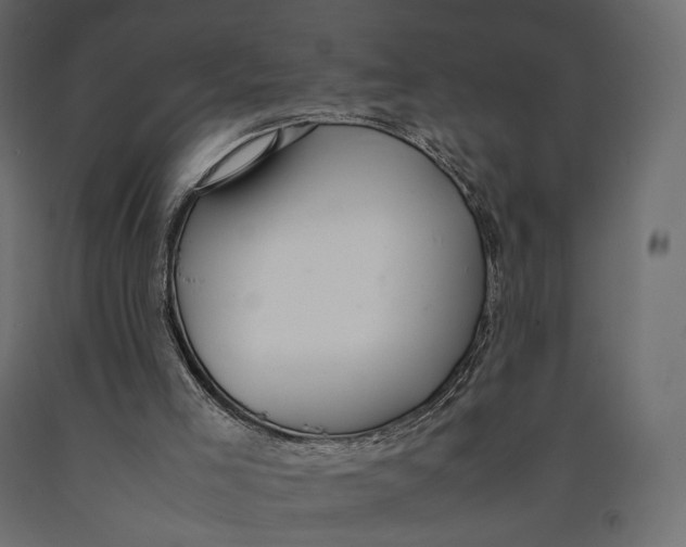 X0000090450005200708031228