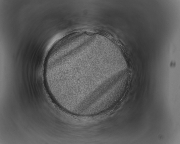 X0000090450006200708031228