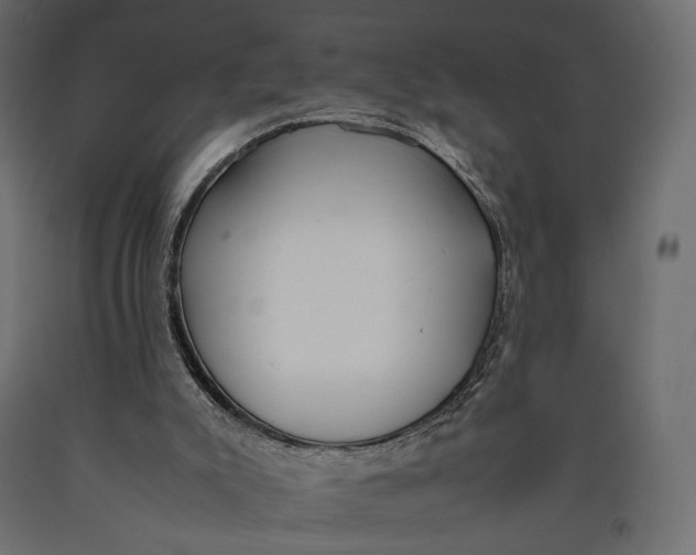 X0000090450007200708031228