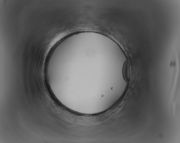 X0000090450008200708031228