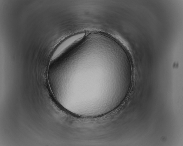 X0000090450009200708031228