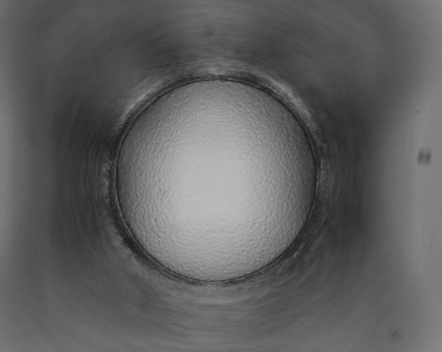 X0000090450010200708031228