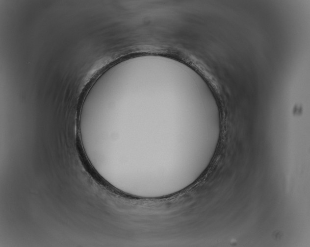 X0000090450011200708031228