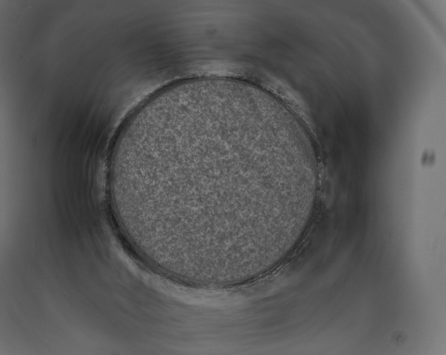 X0000090450012200708031228