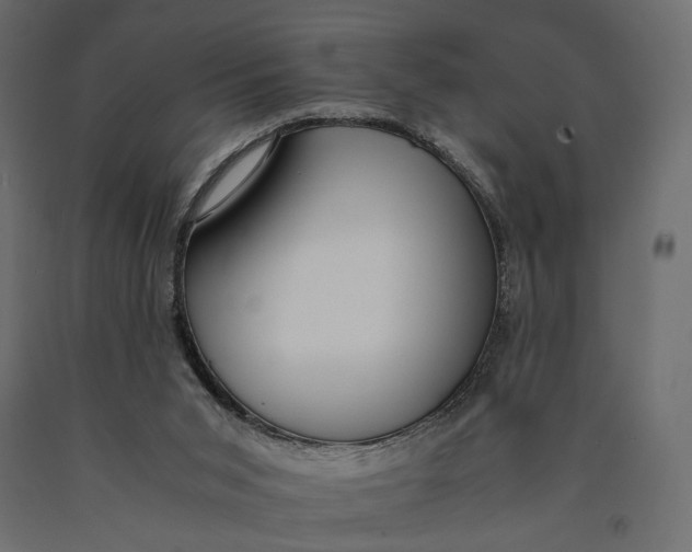 X0000090450015200708031228