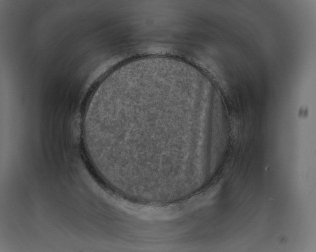 X0000090450016200708031228