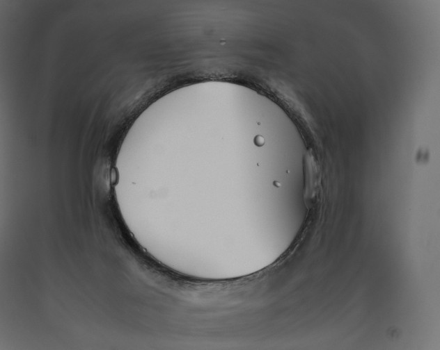 X0000090450021200708031228