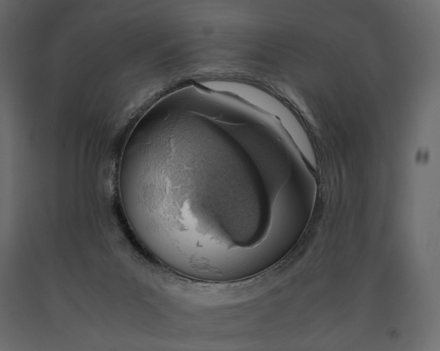 X0000090450023200708031228