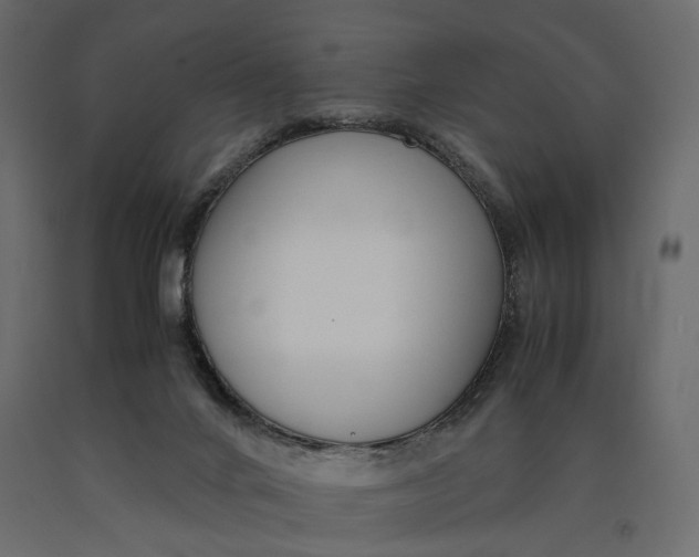 X0000090450024200708031228