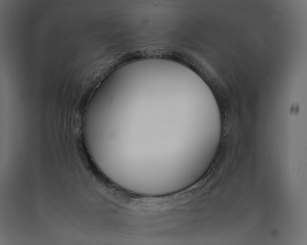 X0000090450025200708031228