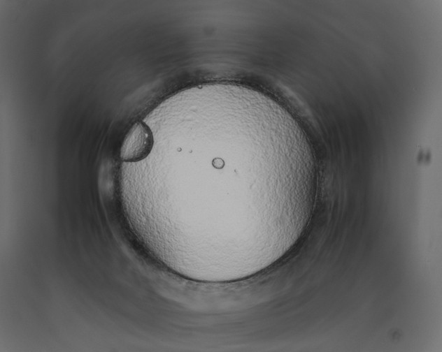 X0000090450026200708031228