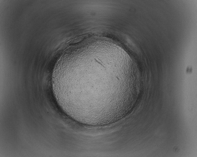 X0000090450029200708031228