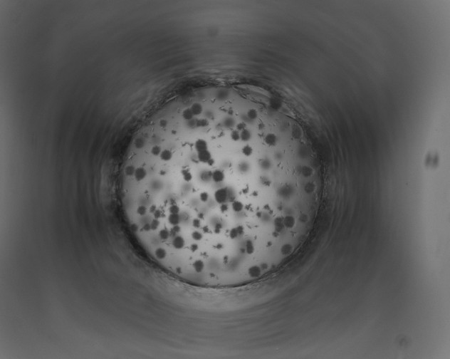 X0000090450030200708031228