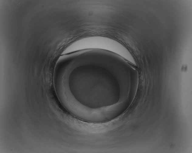 X0000090450031200708031228