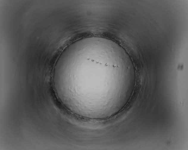 X0000090450032200708031228