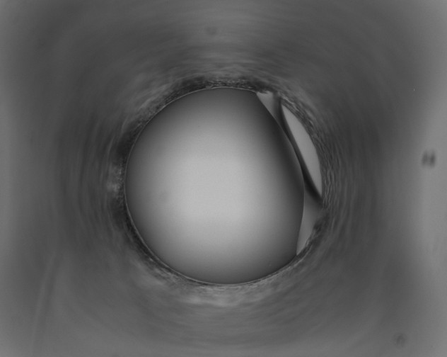 X0000090450033200708031228