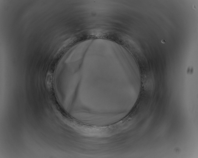 X0000090450036200708031228