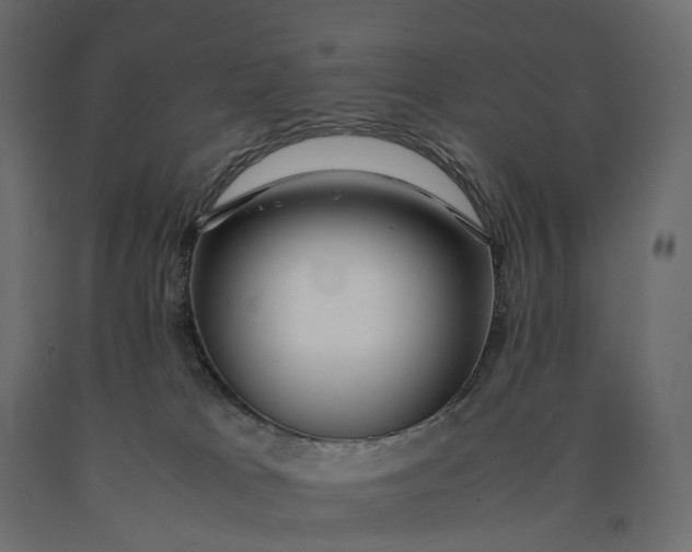 X0000090450037200708031228