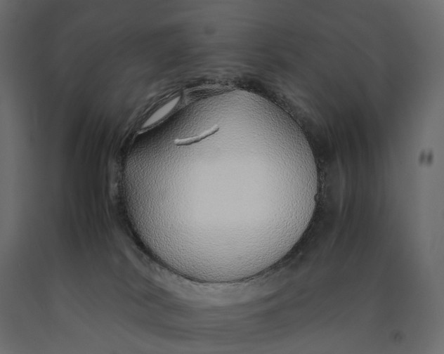 X0000090450038200708031228