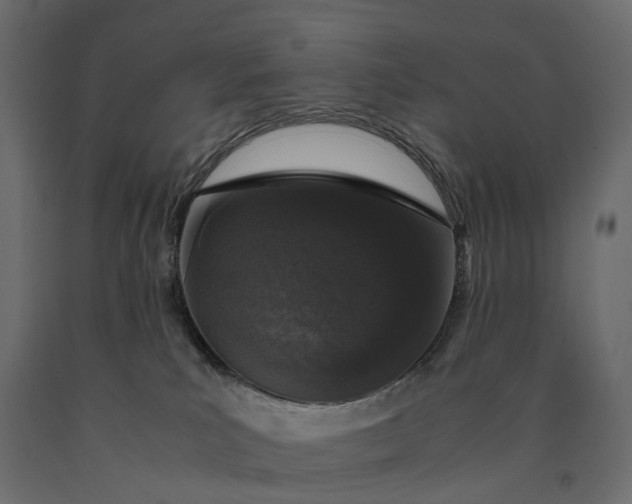 X0000090450039200708031228