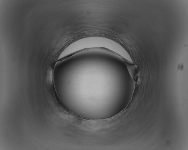 X0000090450041200708031228