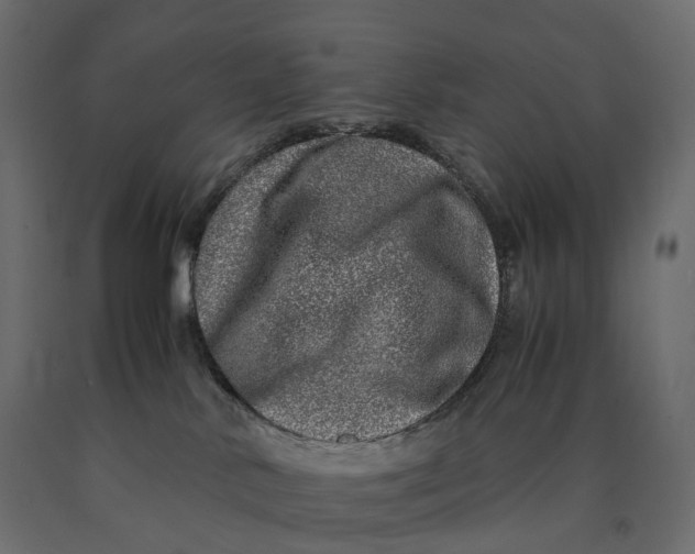 X0000090450042200708031228