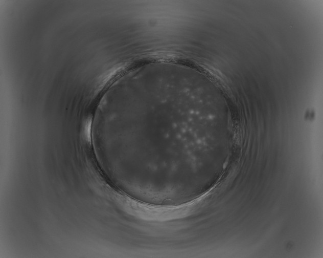 X0000090450047200708031228