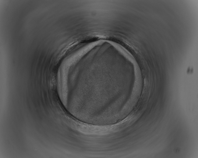 X0000090450048200708031228