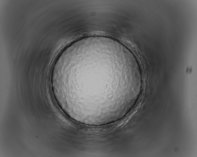 X0000090450049200708031227