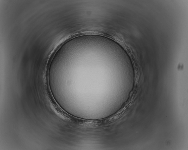 X0000090450050200708031227