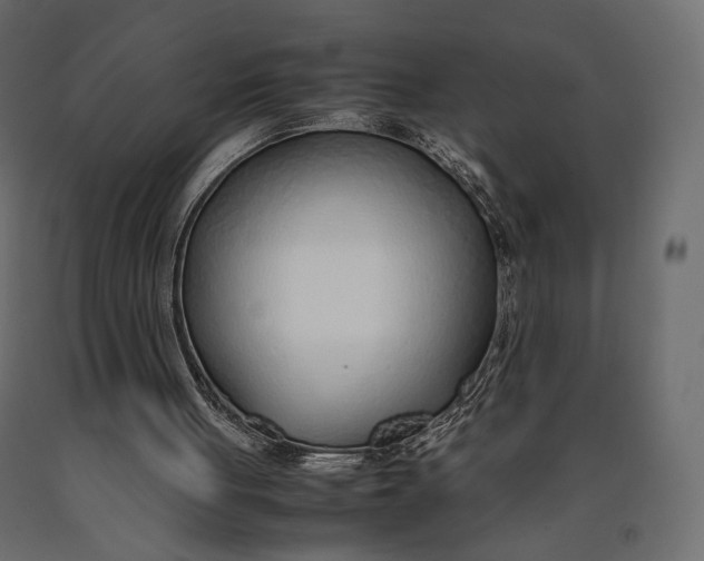 X0000090450051200708031227