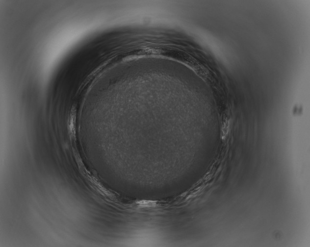 X0000090450052200708031227