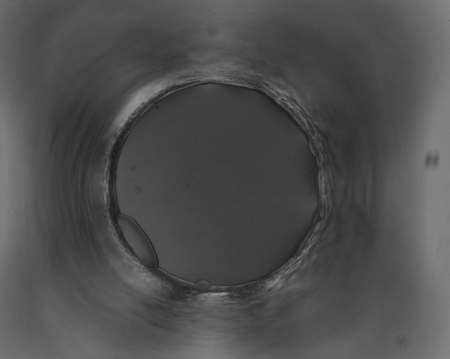 X0000090450054200708031227