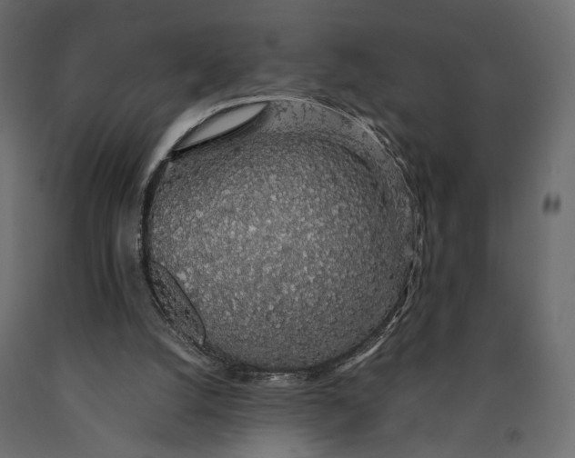 X0000090450056200708031227