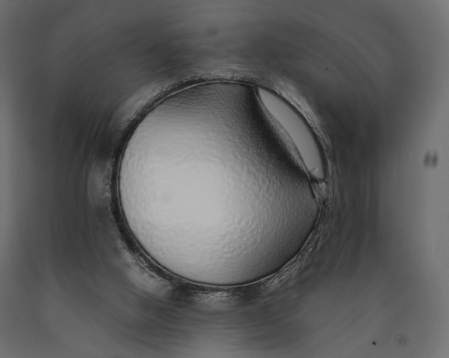 X0000090450058200708031227